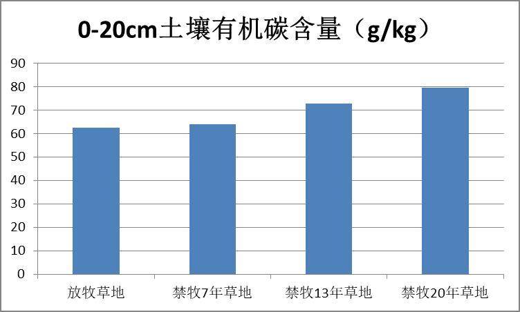 数据缩略图