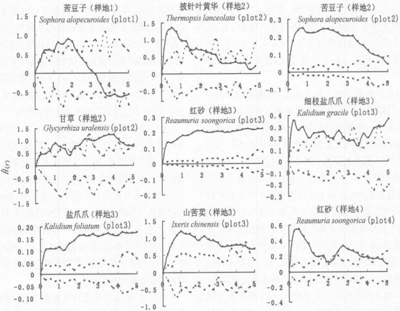 数据缩略图