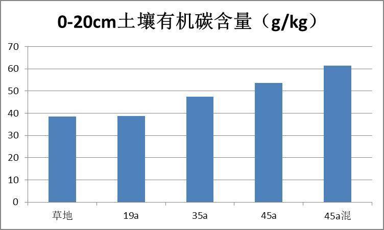 数据缩略图