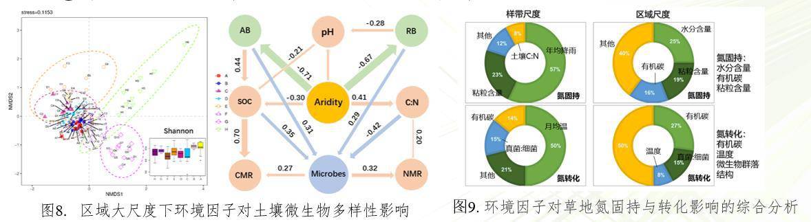 数据缩略图