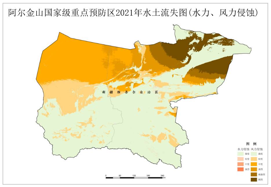 数据缩略图